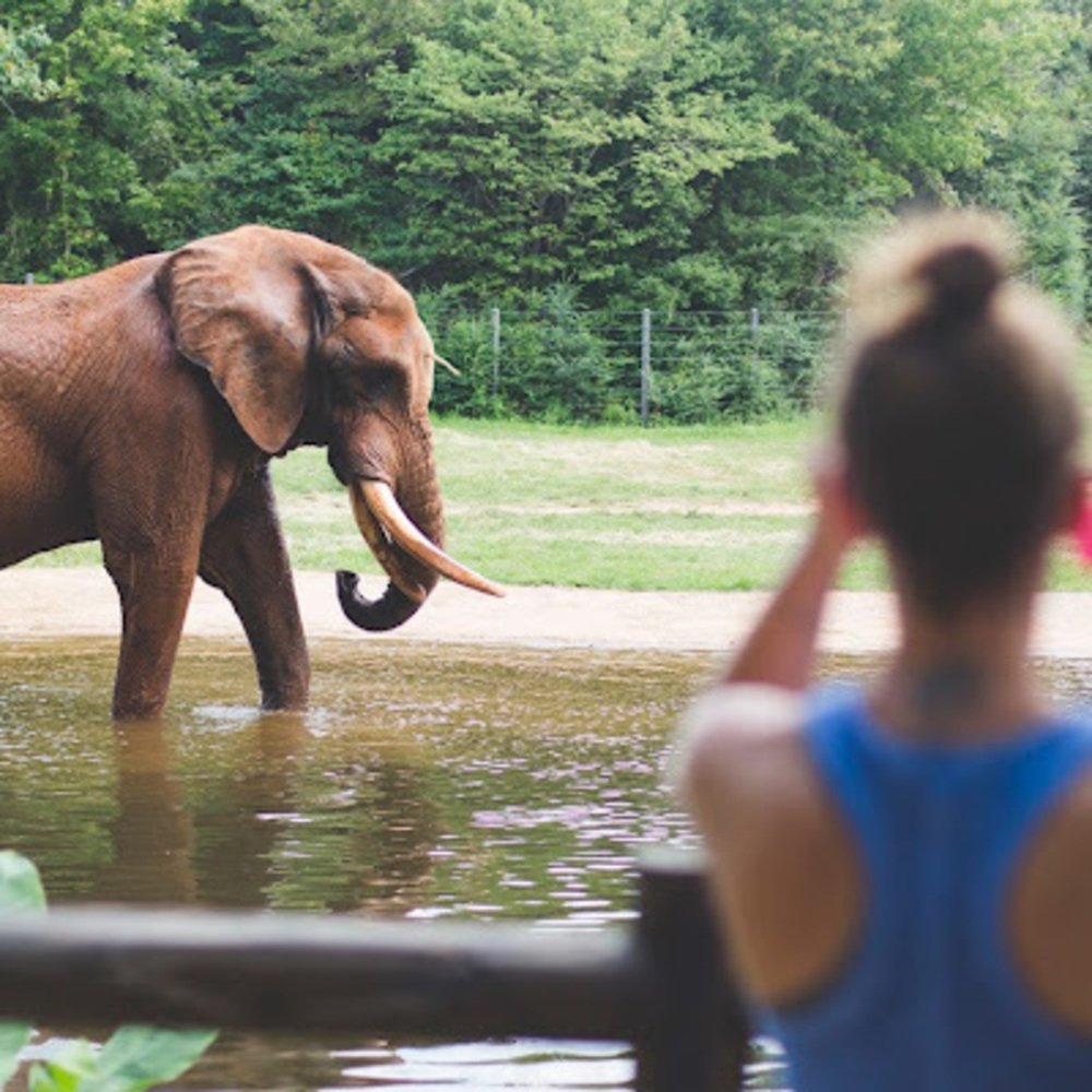 Meet your Posher, Callie